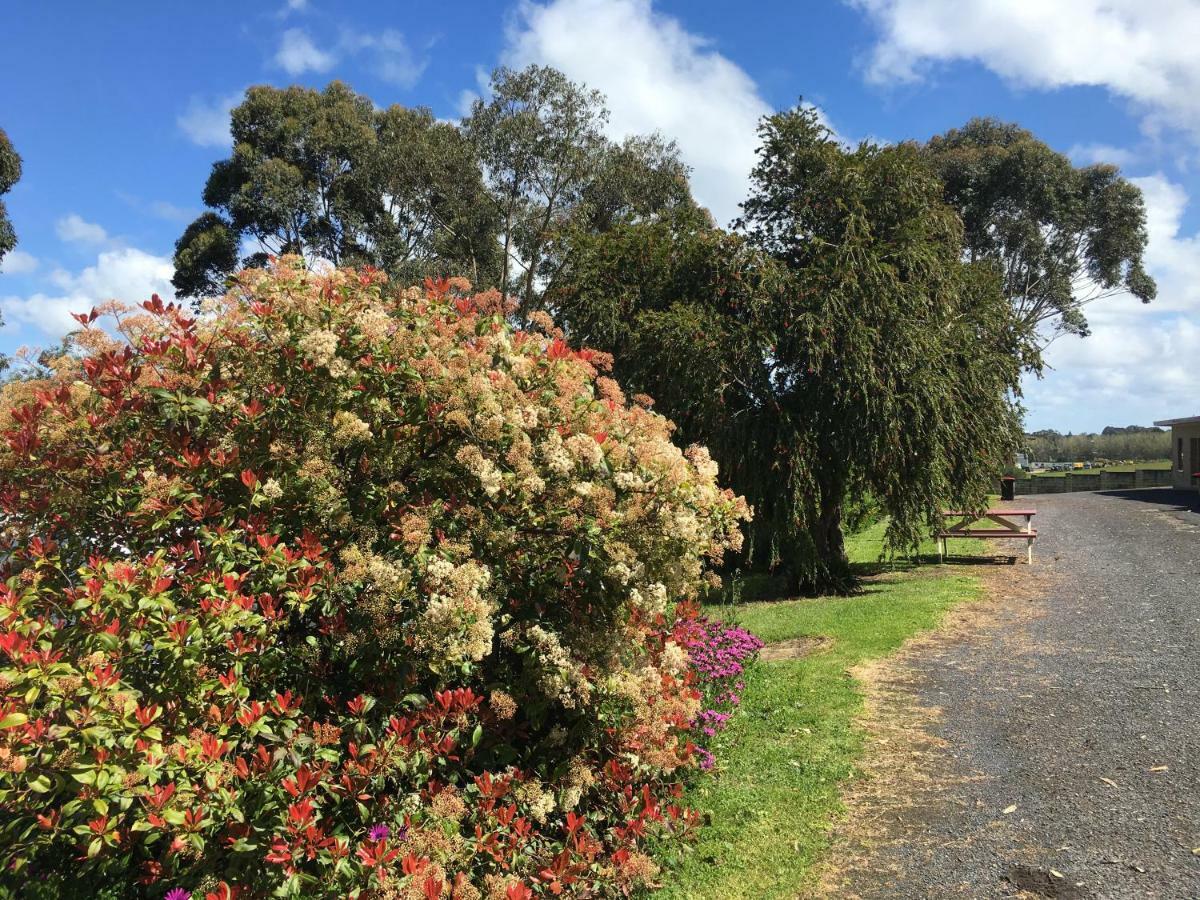 Limestone Coast Tourist Park Mount Gambier Buitenkant foto